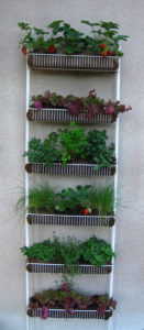 Spice Rack Planter