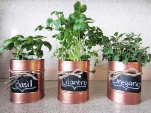Tin Can Planters