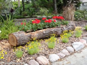 Tree Log Planter