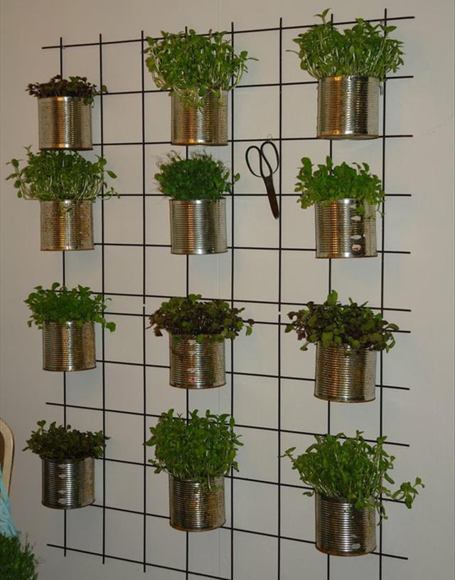 Minimalist Vertical Garden Indoor New Decorating Ideas