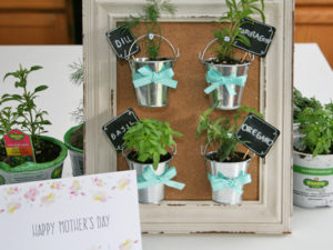 mini herb garden