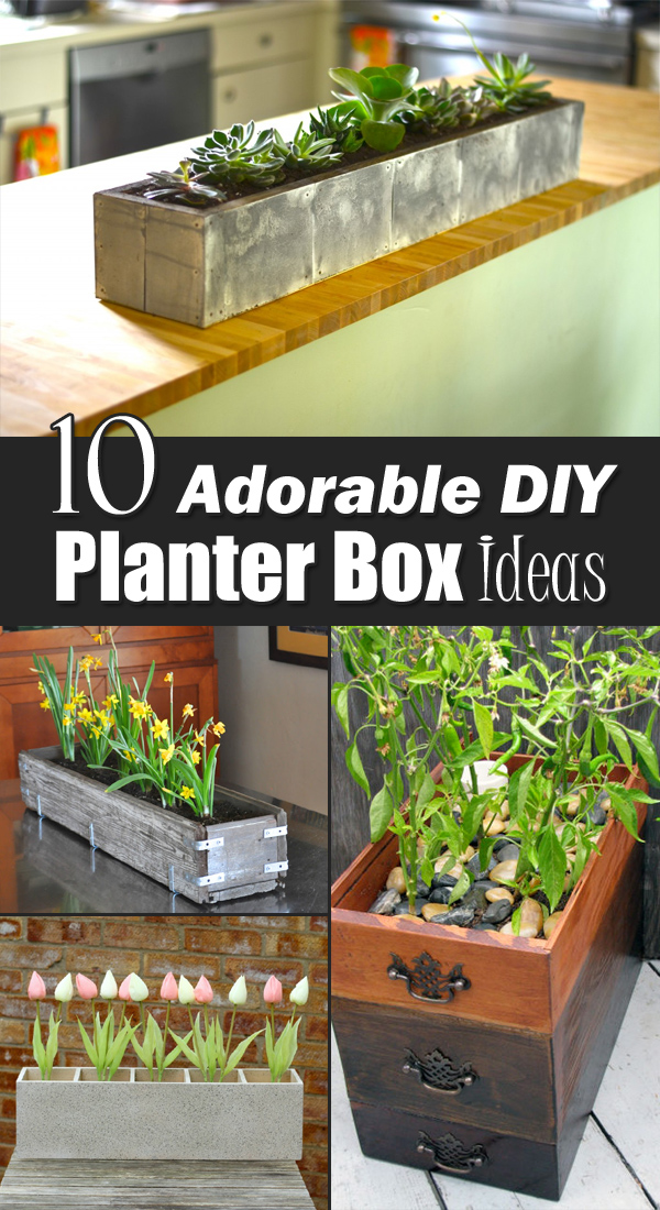 10 Adorable DIY Planter Box Ideas