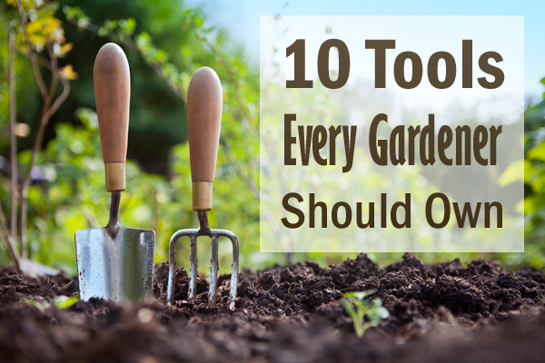 10 Tools Every Gardener Should Own