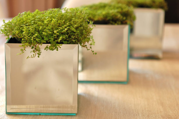 Bevelled Mirror Planter