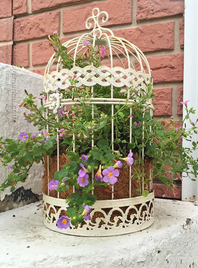 Bird Cage Flower Planter