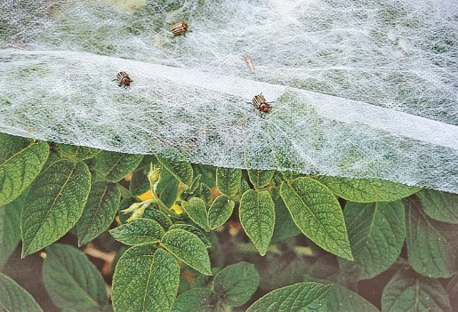 Garden Fabric