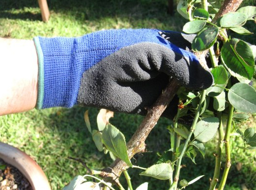 Gardening Gloves