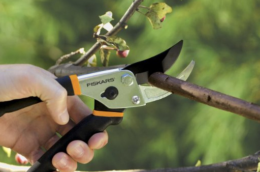 Hand Pruners