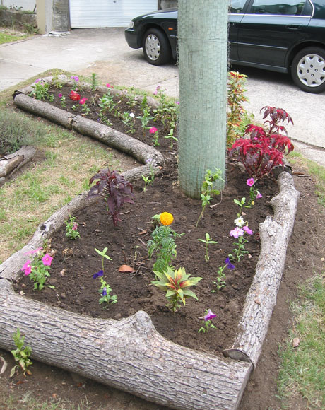 16 Awesome Garden and Landscaping Edging Ideas