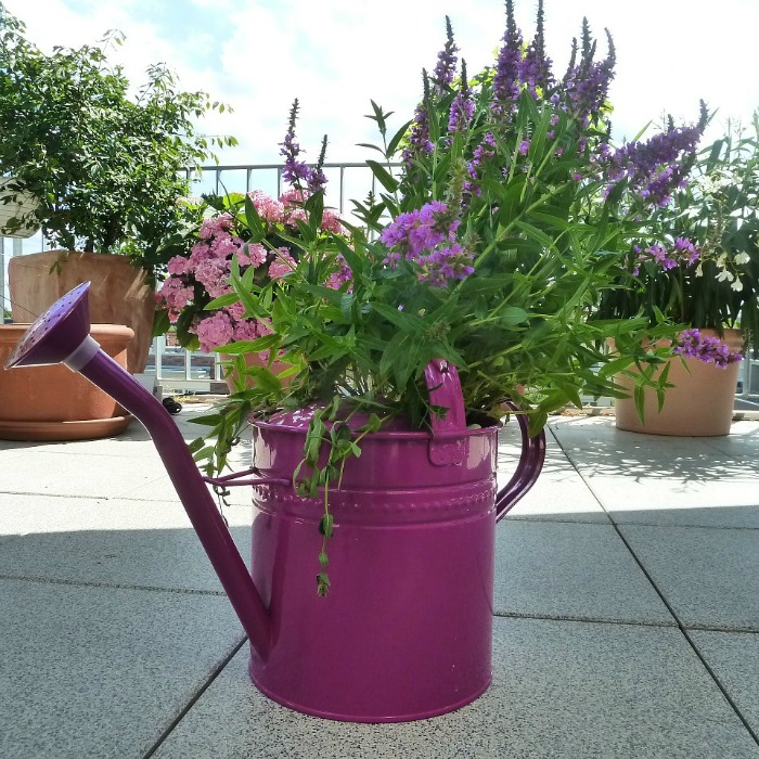 Watering Can Planter