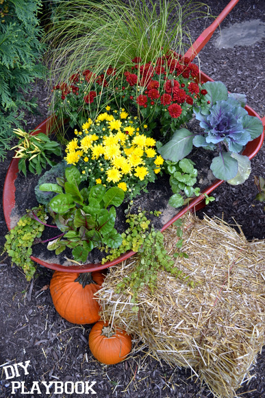 Wheelbarrow Planter