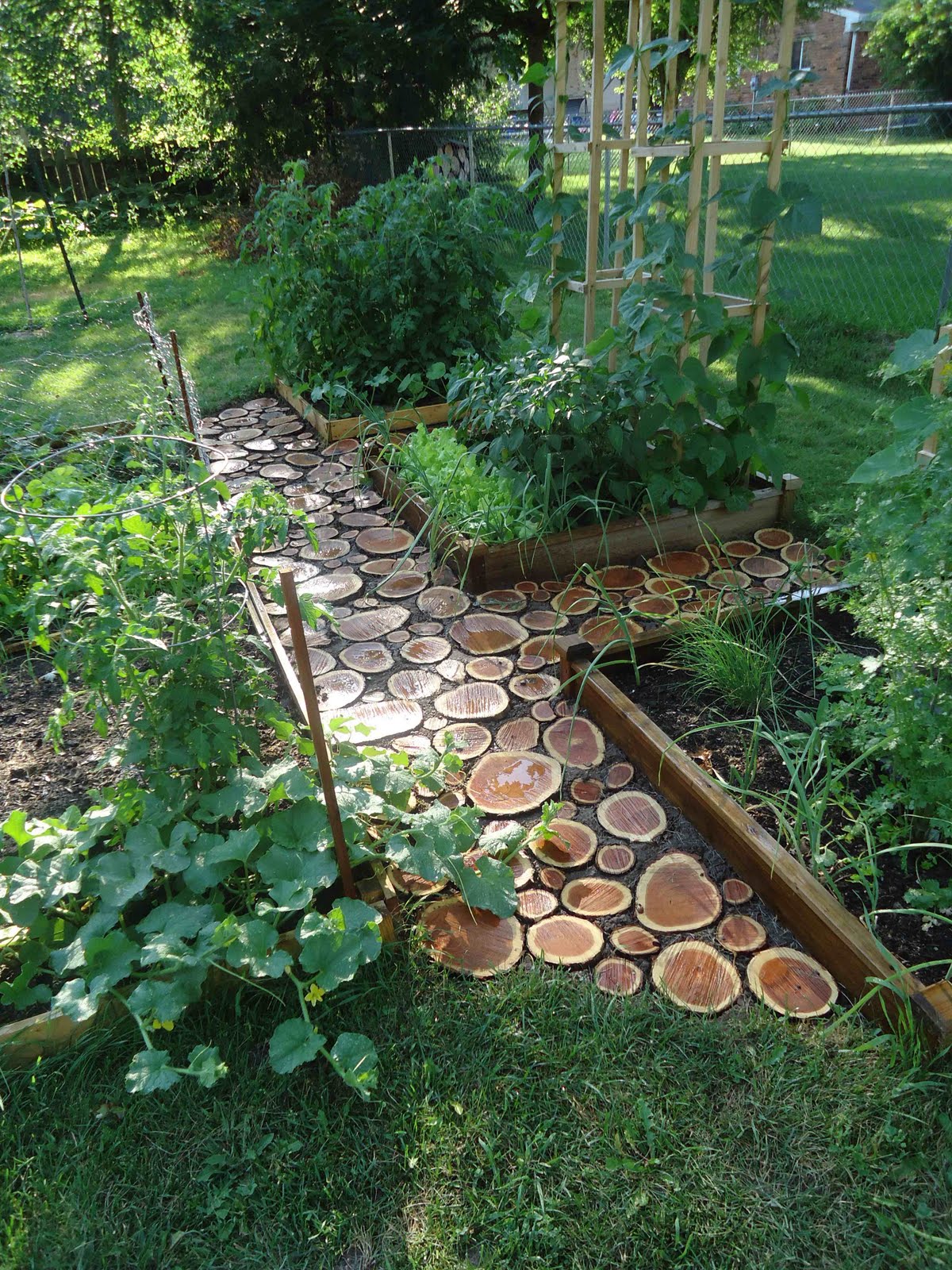 Wood Log Path