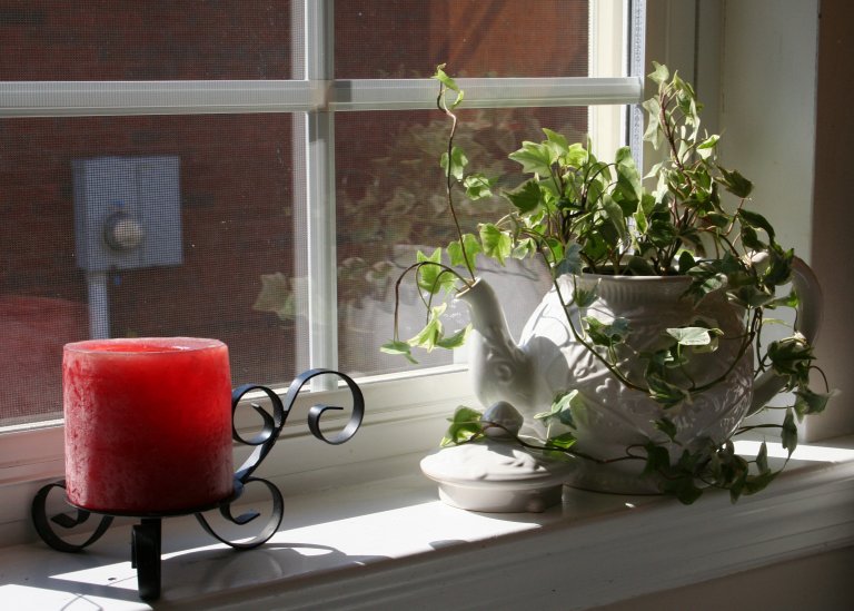 teapot planter