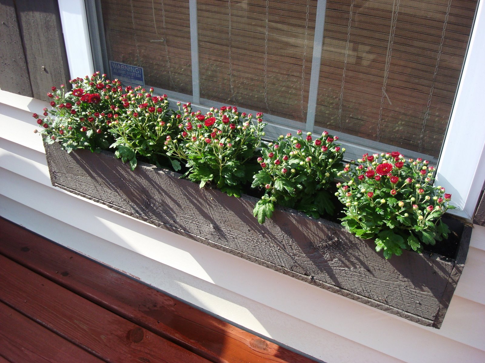 Cheap & Easy Window Box