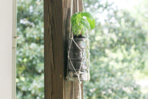 Macrame Herb Garden