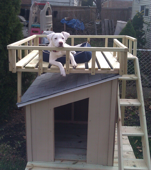 10-amazing-diy-dog-houses-with-free-plans