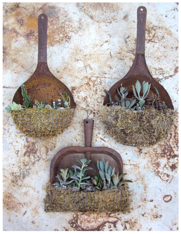 Old rusty dust pans as garden art