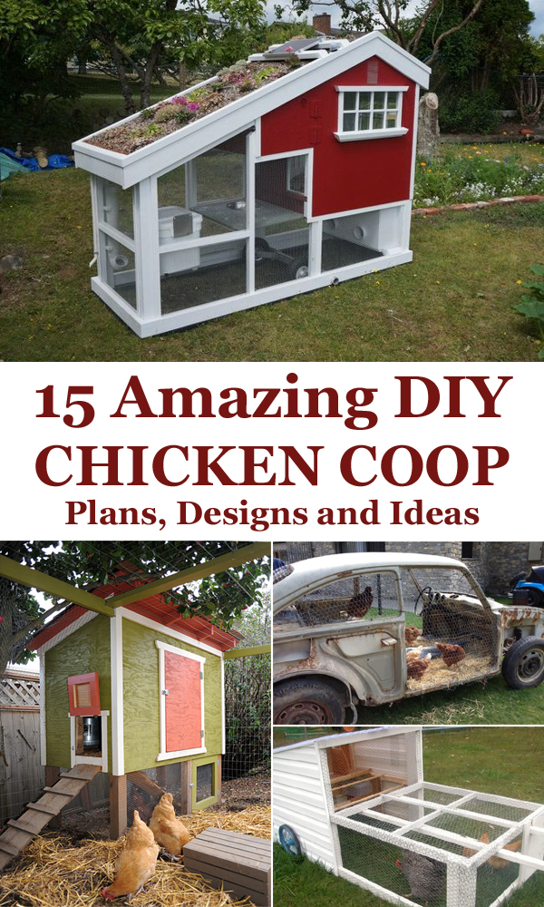 15 Amazing DIY Chicken Coop Plans, Designs and Ideas