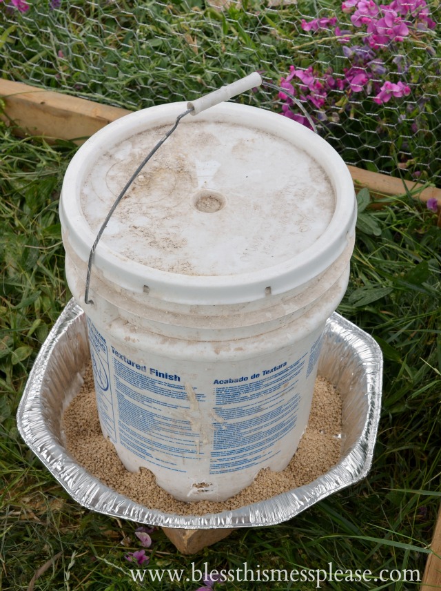 Chicken Feeder from 5-Galon Buckets