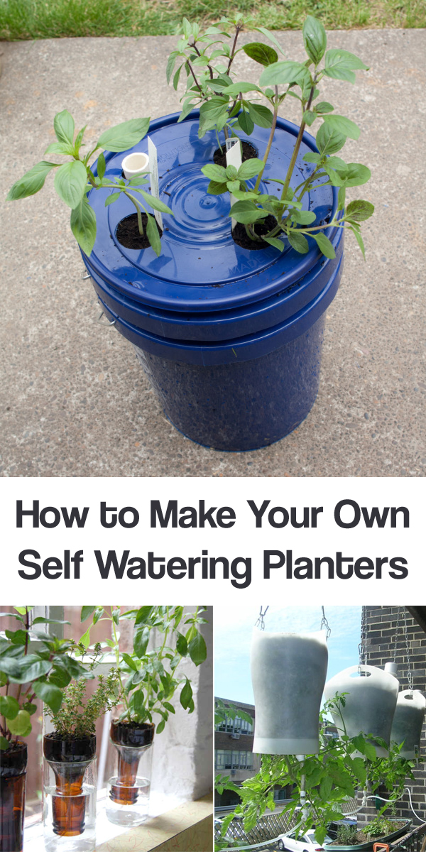 How to Make Your Own Self Watering Planters