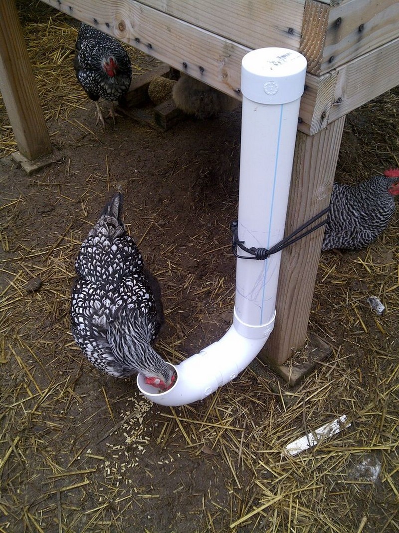 pvc chicken feeder