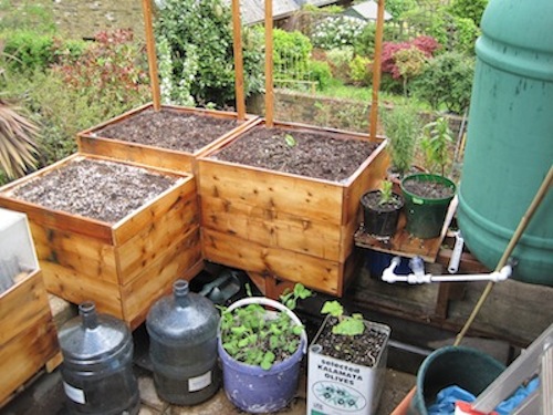 Self watering container gardening