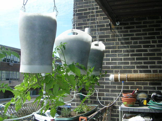 Upside-Down Hanging Self-Watering