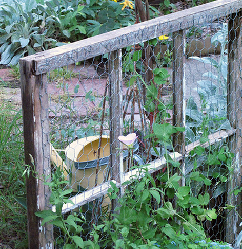 Window Frame Trellis