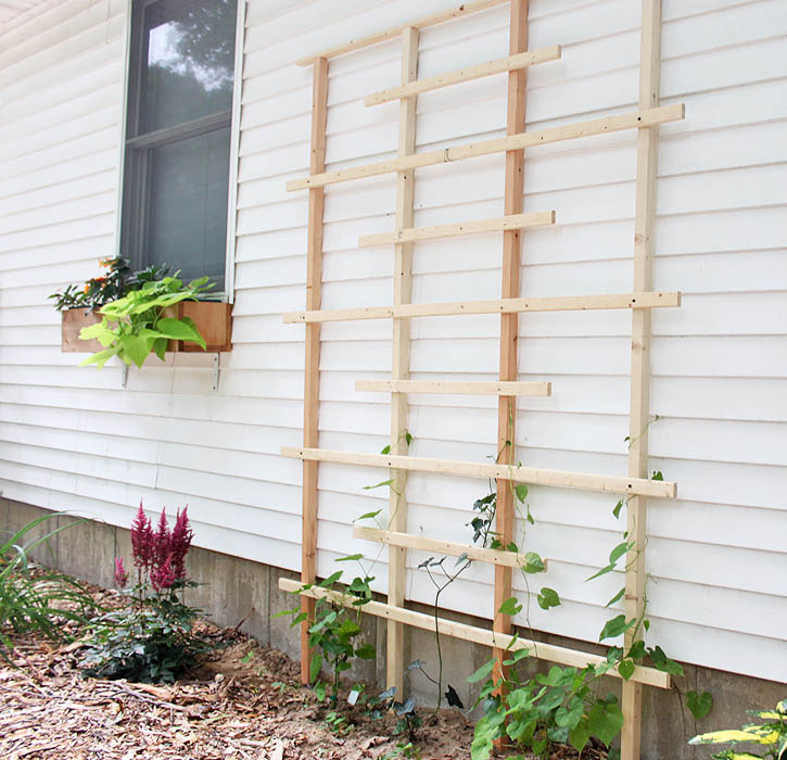 cedar trellis