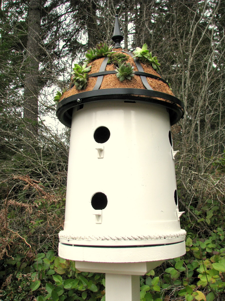 Bucket into a Bird House