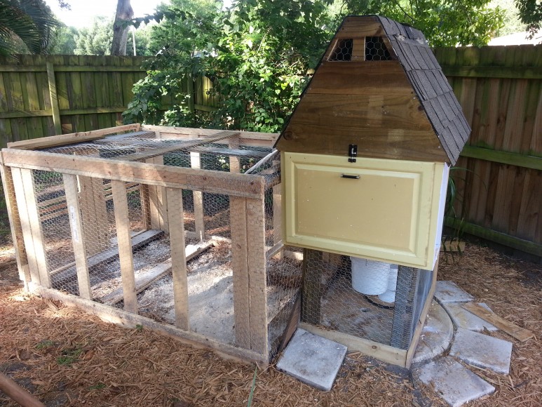 Chicken Coop for Less Than $50