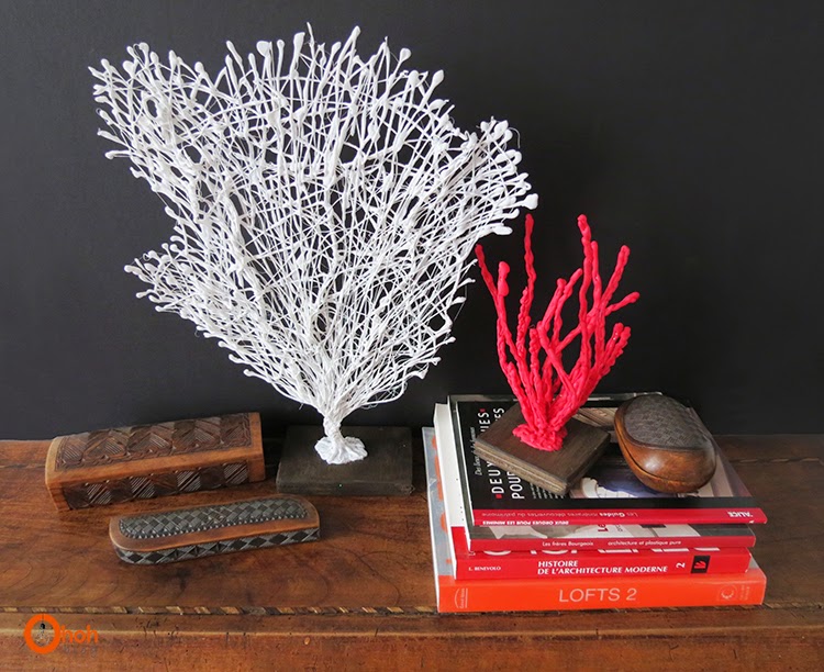 coral decor