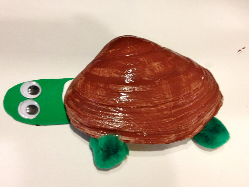 Sea Shell Turtle