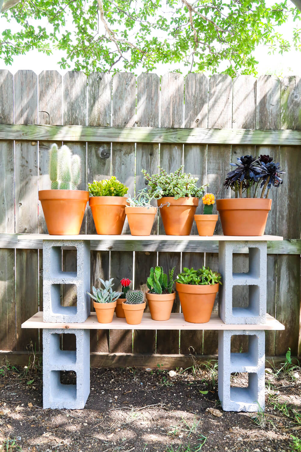 15 Creative DIY Ways To Display Plants And Flowers