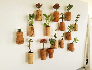 Little Cork Planters