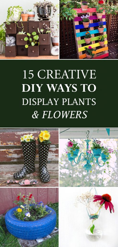 15 Creative DIY Ways To Display Plants and Flowers