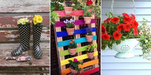 DIY Ways To Display Plants and Flowers