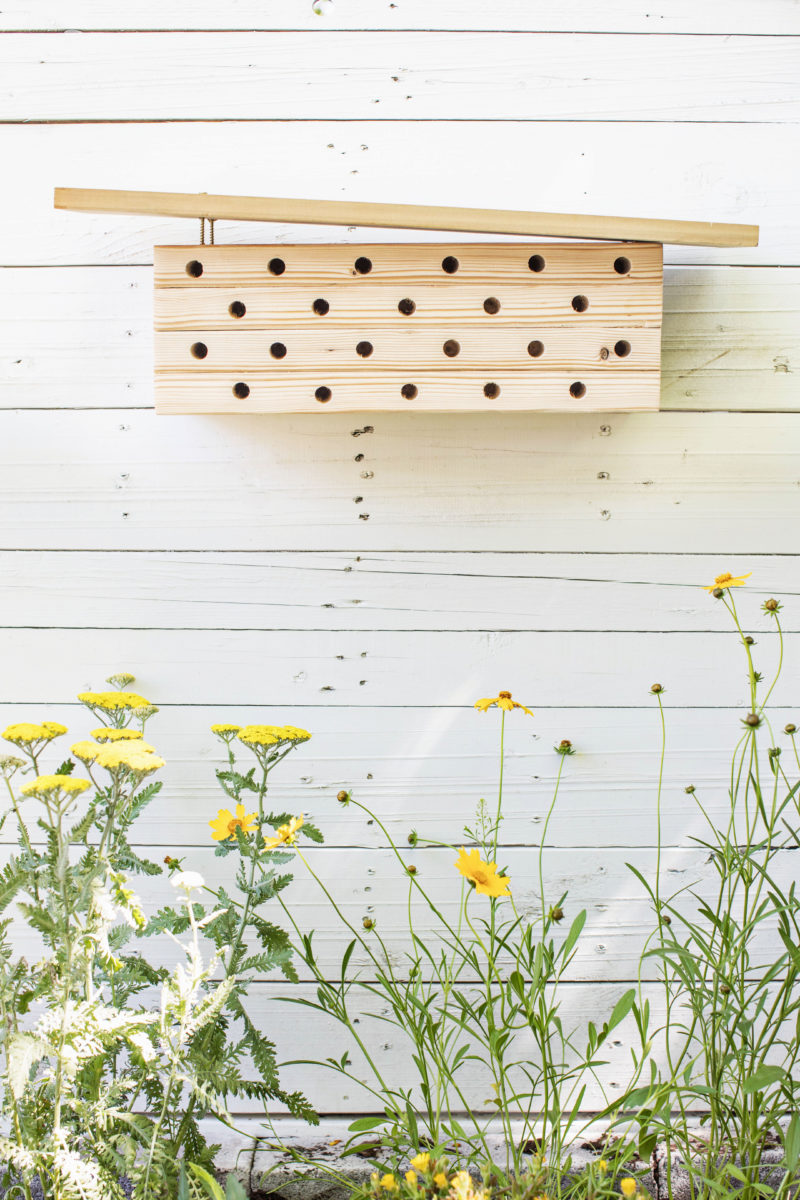 Modern Mason Bee House