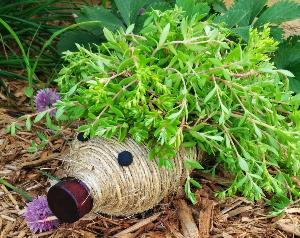 Hedgehog Planter from Plastic Bottle