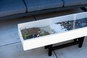 Succulent Coffee Table
