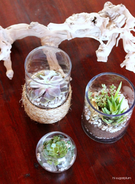 Dollar Store Terrariums