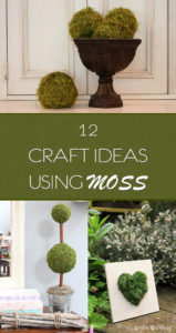 12 Easy Craft Ideas Using Moss
