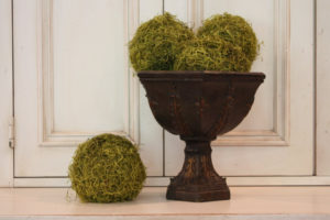 Moss Balls