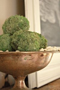 Moss Eggs