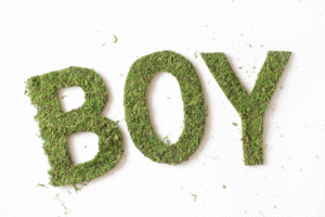 Moss Letters