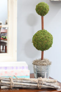 Moss Topiary