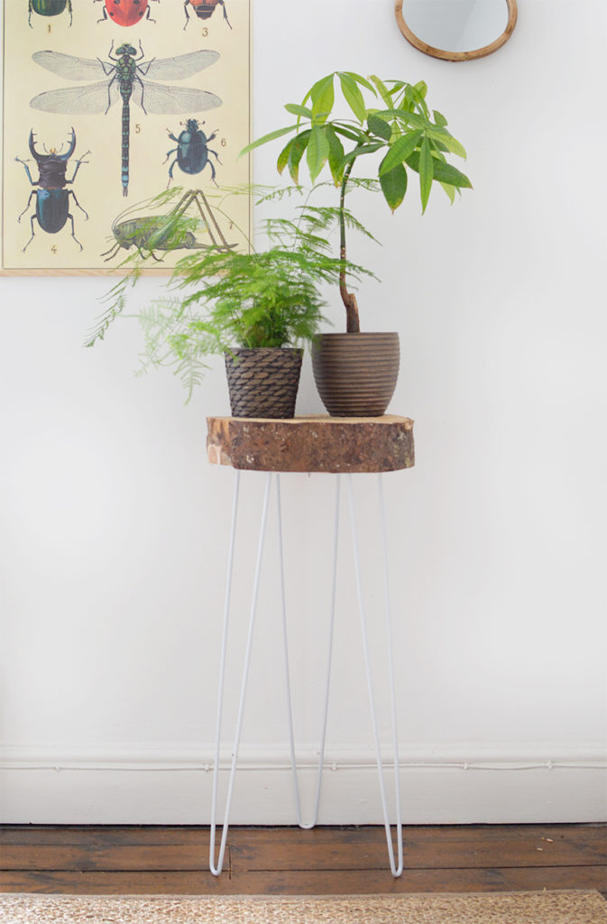 Hairpin and Wood Slice Plant Stand