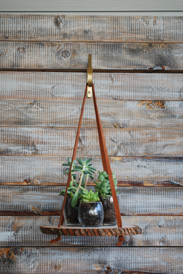 Hanging Wood Slice Plant Stand