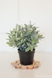 Mini Wood Slice Trivet