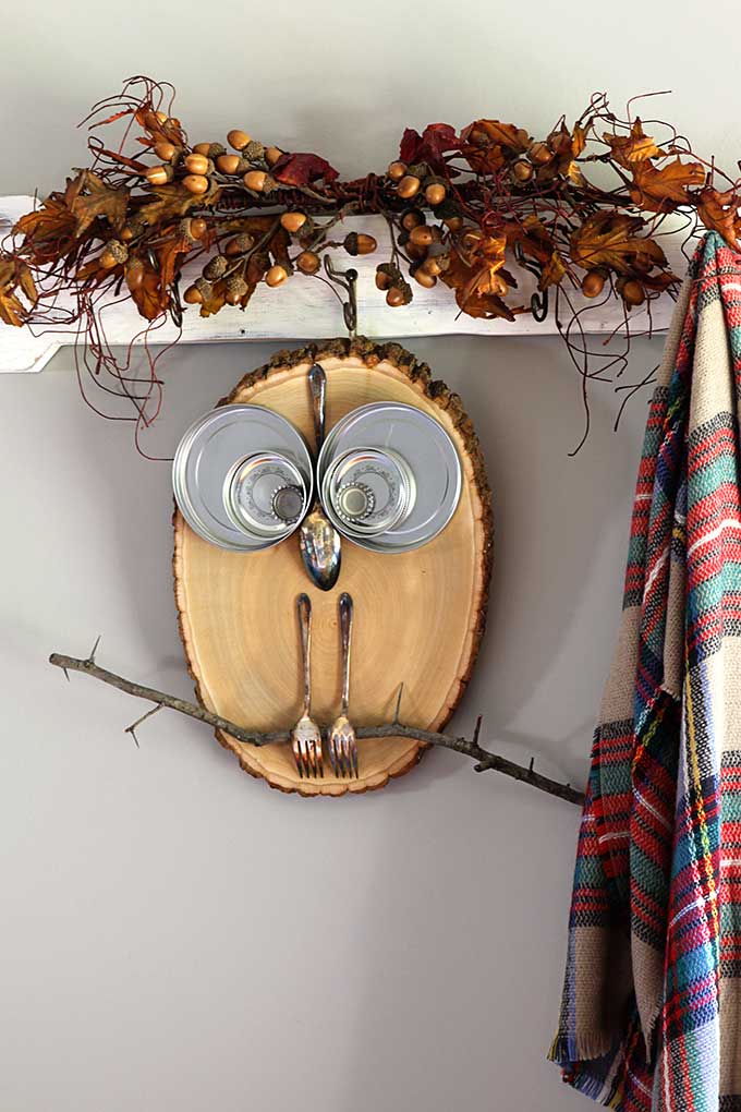 Wood Slice Owl